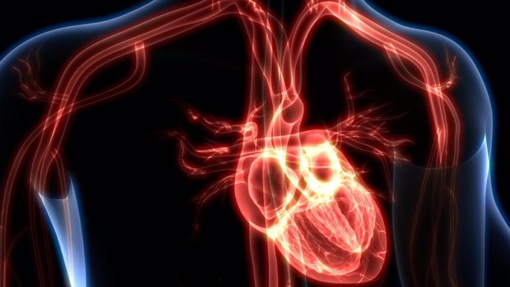 🩺 Vasopresores e inotrópicos en shock cardiogénico: lo que debes saber hoy