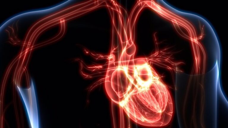 🩺 Vasopresores e inotrópicos en shock cardiogénico: lo que debes saber hoy